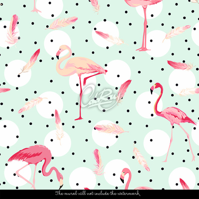 Fototapeta We flamingi jest mój świat