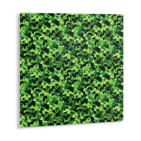 Płytki winylowe samoprzylepne Zielone liście sałaty