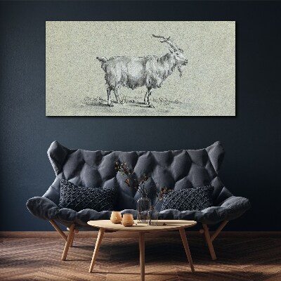 Obraz Canvas Nowoczesny zwierzę koza