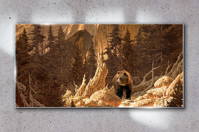 Obraz Szklany las niedźwiedź góry przyroda