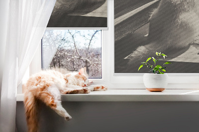 Roleta wewnętrzna Koty w oknie