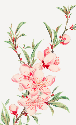 Roleta okienna Różowy kwiatek