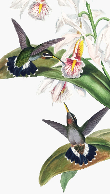 Roleta okienna Ptaki na kwiatku