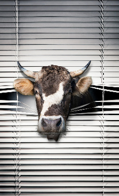 Roleta na okno Krowa