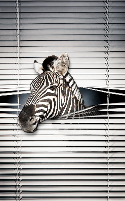 Roleta na okno Zebra