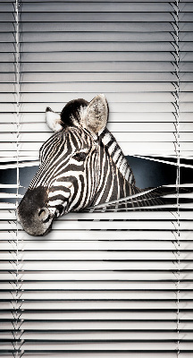 Roleta na okno Zebra