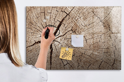 Tablica magnetyczna na magnesy na ścianę Stary pień drewna