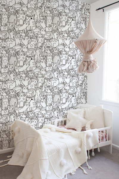 Fototapeta Kocia Kraina