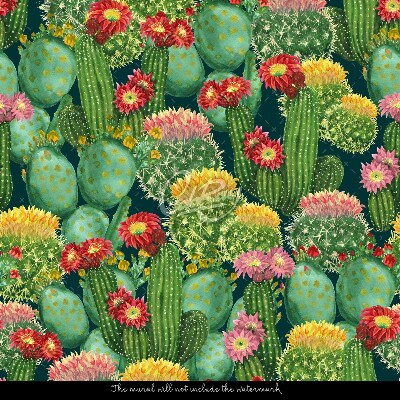 Fototapeta Bajeczne Kaktusy