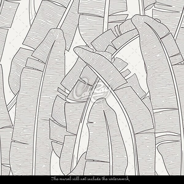 Fototapeta Liście Bananowca