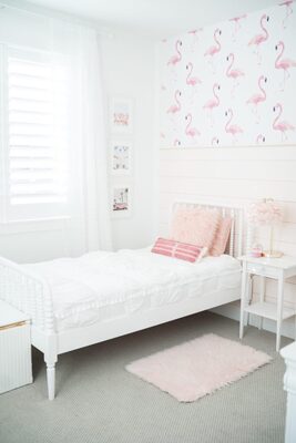 Fototapeta Świat Flamingów