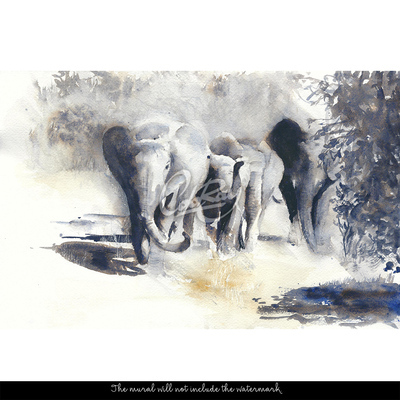 Fototapeta Wędrujące Słonie