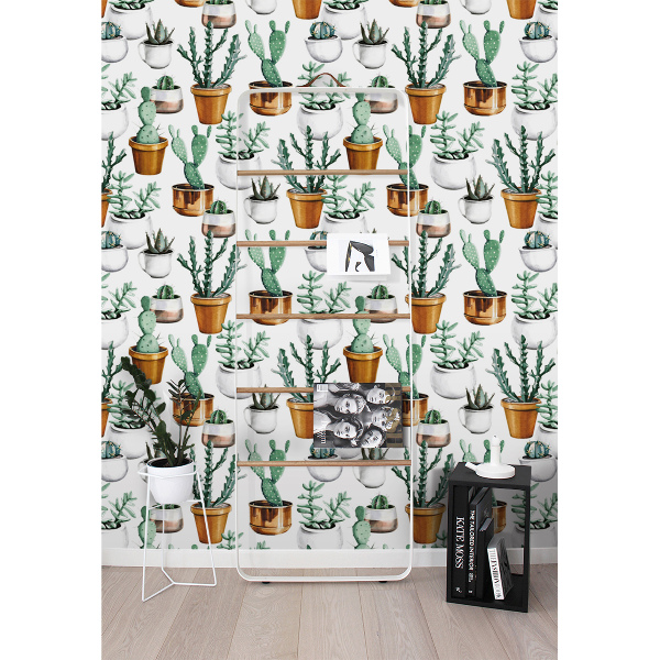 Fototapeta Kaktusy w Doniczkach