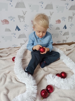 Fototapeta Biwak w Lesie Pełnym Zwierząt