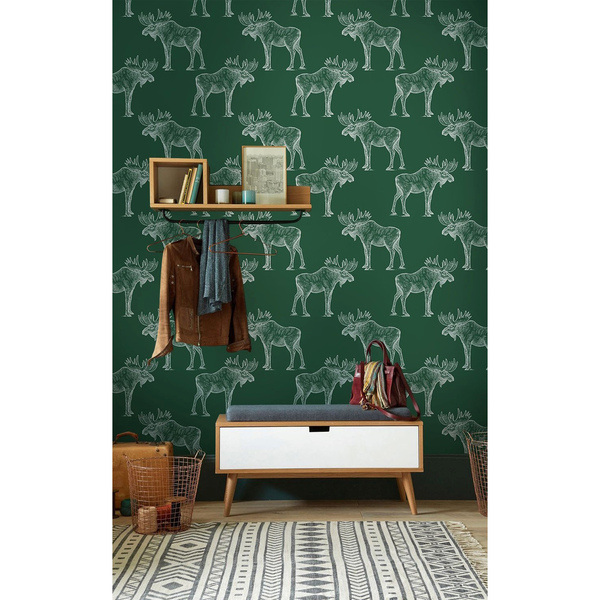 Fototapeta Raz podobno widział ktoś jak na rower wsiada łoś