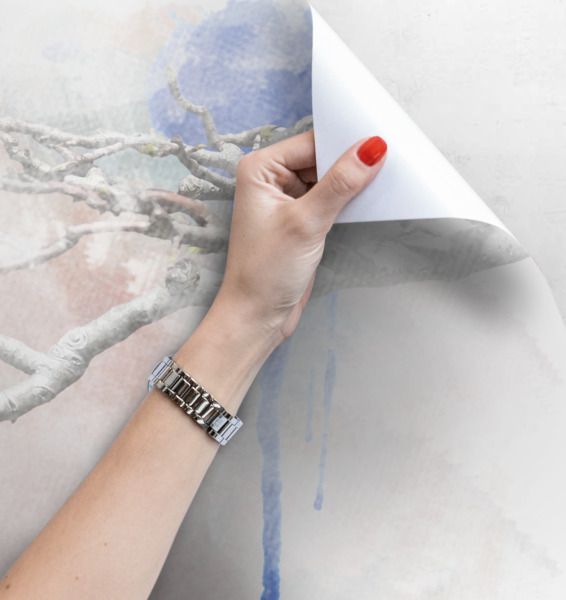 Fototapeta Rozmowy Ptaków