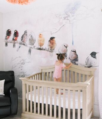 Fototapeta Rozmowy Ptaków