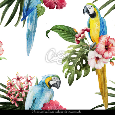 Fototapeta Leniwe Papugi wśród kwiatów