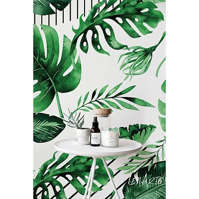 Fototapeta Monstera w paski