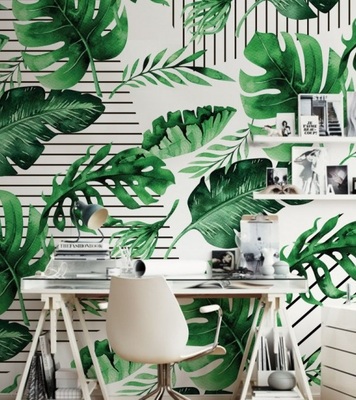 Fototapeta Monstera w paski