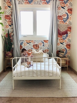 Fototapeta Pomarańczowe Maki