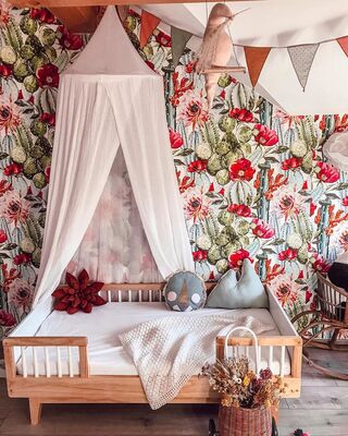 Fototapeta Kwitnąca Opuncja