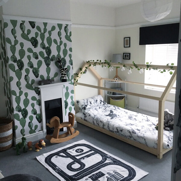 Fototapeta Kaktusowy Obrazek