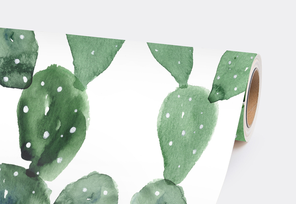 Fototapeta Kaktusowy Obrazek