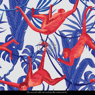 Fototapeta Buszujące Małpki