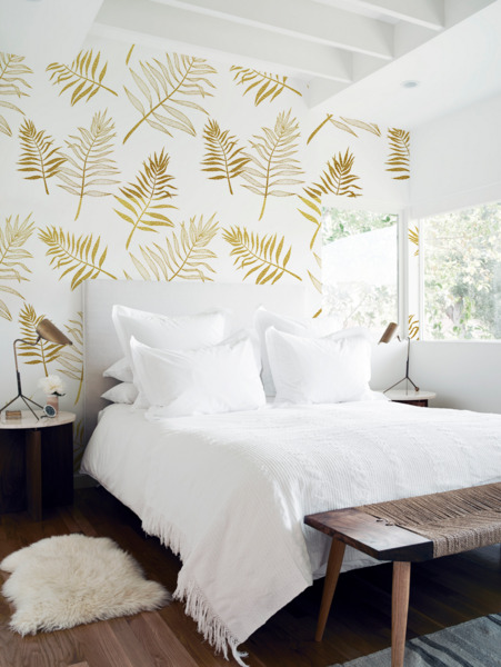 Fototapeta Liść Paproci