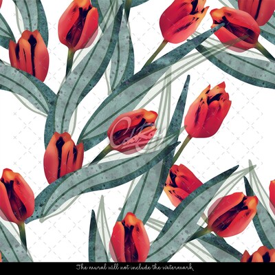 Fototapeta Czarujące Tulipany