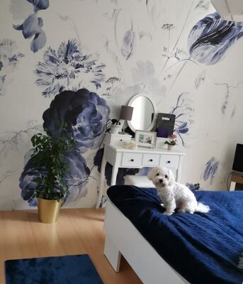 Fototapeta Królewski Granat