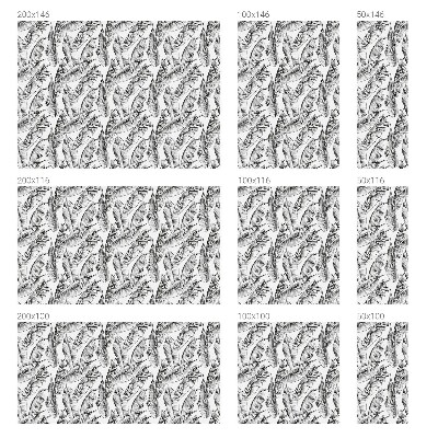 Witraż przyklejany na okno folia matowa Tropikalne liście