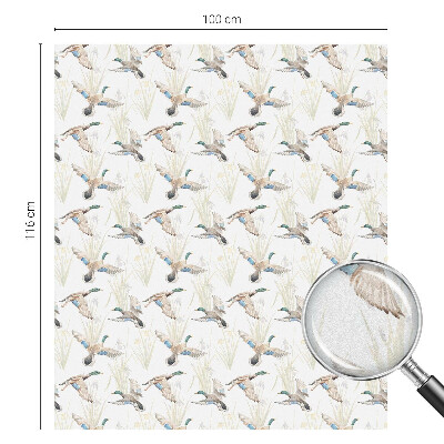 Folia mleczna na okno wzór witraż Ptaki natura