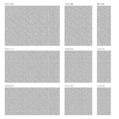 Witraż przyklejany na okno folia matowa Liściasta elegancja