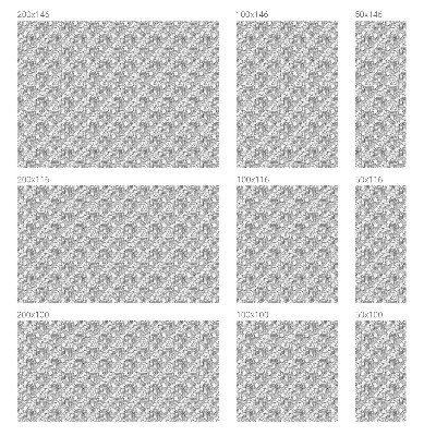 Folia mleczna na okno wzór witraż Klasyczne portrety