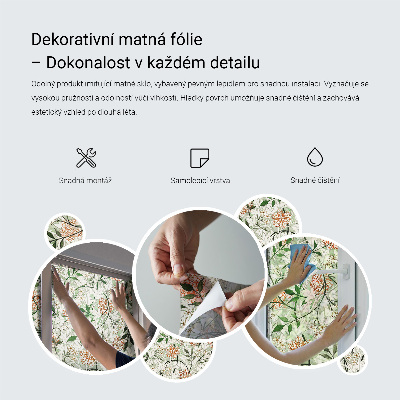 Naklejka witraż na szybę mleczna Ornament roślinny