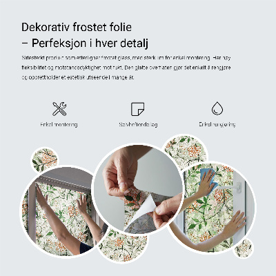 Witraż przyklejany na okno folia matowa Soczyste owoce