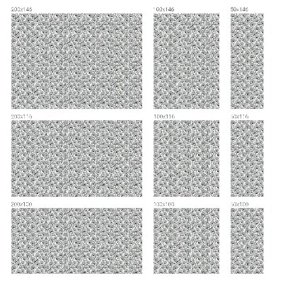 Witraż przyklejany na okno folia matowa Botaniczny motyw