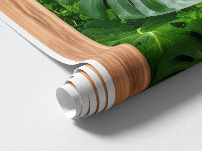 Plakat okno 57x100 Liście monstery