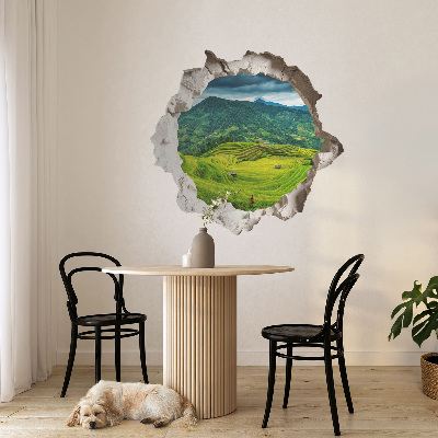 Fototapeta dziura w ścianie 130x123 Zielone tarasy