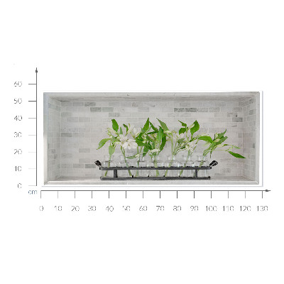 Naklejka przestrzenna 3D na ścianę 130x56 Kwiaty w wazonach