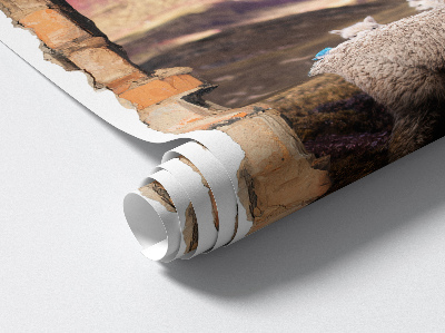 Fototapeta 3D dziura w ścianie 53x80 Alpaki góry