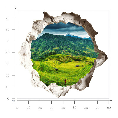 Fototapeta 3D dziura w ścianie 80x76 Zielone tarasy