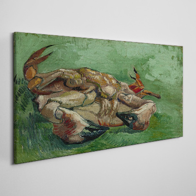 Obraz na Płótnie Krab on jego Back Van Gogh
