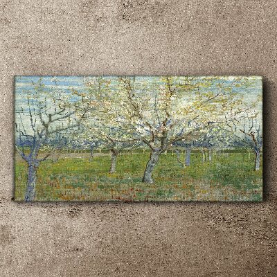Obraz Canvas Kwiatowe drzewa w wiosennym słońcu