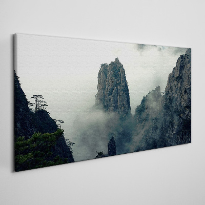 Obraz na Płótnie góry mgła mgła drzewa chmury