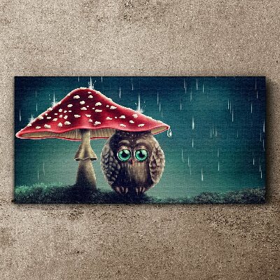 Obraz Canvas Sowa pod grzybem w deszczu