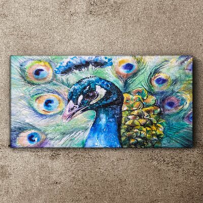 Obraz Canvas Kolorowy paw wśród piór