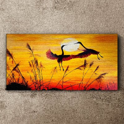 Obraz Canvas Tańczące żurawie przy zachodzie słońca